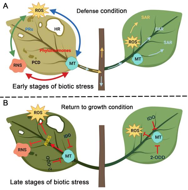 ADB22C3BBB210E98A4316AA3BF8_1889C545_A85A.png ADB22C3BBB210E98A4316AA3BF8_1889C545_A85A.png
