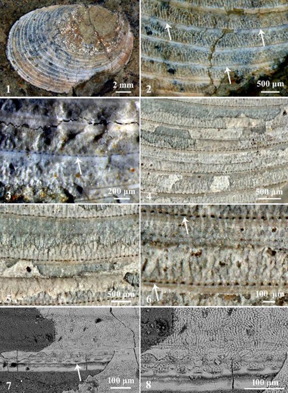 645A3452849552BC6B2541CE2AA_D5722510_1C593.jpg 645A3452849552BC6B2541CE2AA_D5722510_1C593.jpg