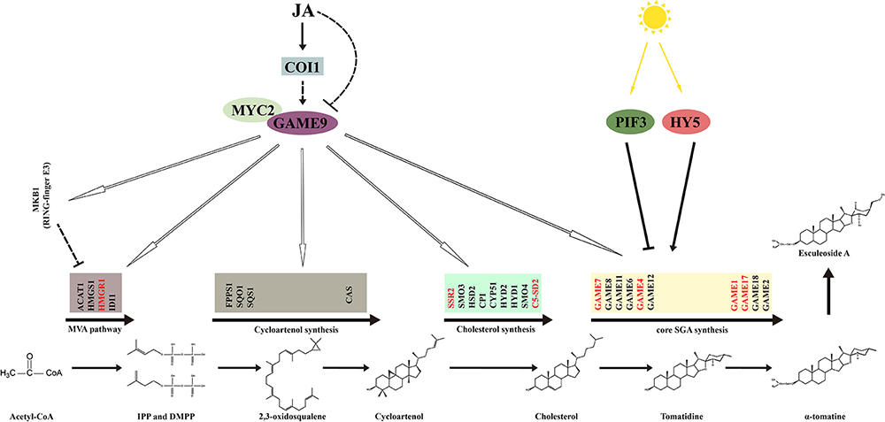 ECEA757A87F9A0D107EE8573CB9_73C7E814_C52AC.jpg ECEA757A87F9A0D107EE8573CB9_73C7E814_C52AC.jpg
