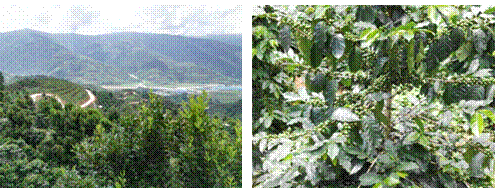 微信截图_20220703161246.png 微信截图_20220703161246.png