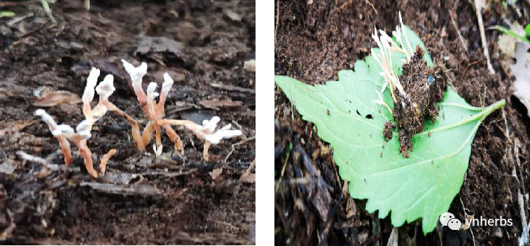 640 (5).png 640 (5).png