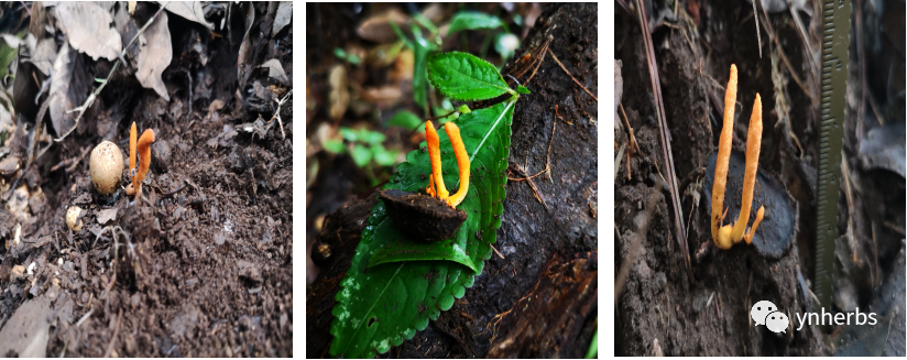 640 (1).png 640 (1).png