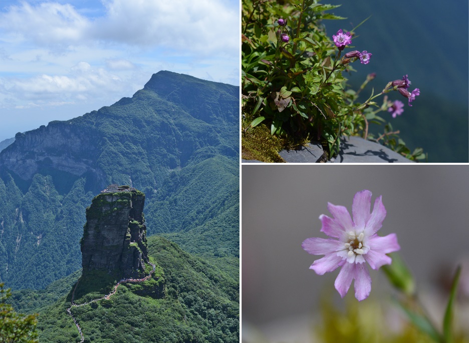 94928E013DE01CFD58424FC26F4_87FF68CA_3D15B.jpg 94928E013DE01CFD58424FC26F4_87FF68CA_3D15B.jpg