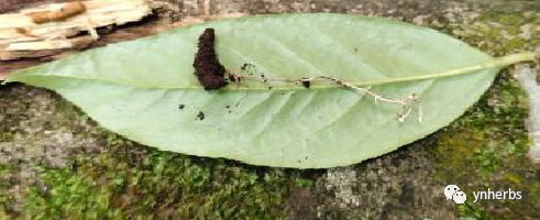 640 (12).png 640 (12).png