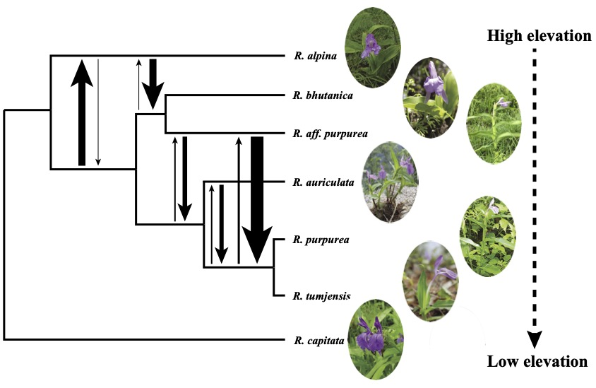 83E2798EF90CE4E8BC87FE799C8_A6B50FB5_3181C (1).png 83E2798EF90CE4E8BC87FE799C8_A6B50FB5_3181C (1).png
