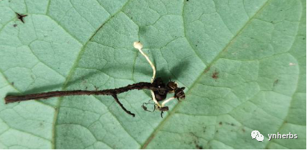 640 (11).png 640 (11).png