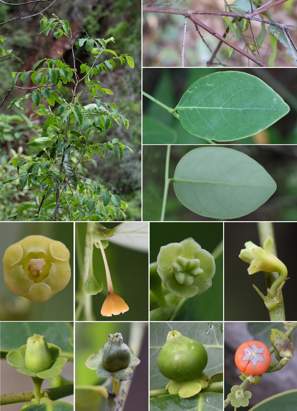 26603990AE5A924650DB1E4AF99_85DCB5DD_66E05.jpg 26603990AE5A924650DB1E4AF99_85DCB5DD_66E05.jpg