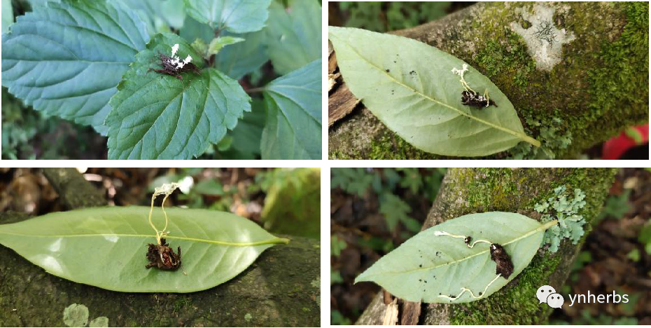 640 (3).png 640 (3).png