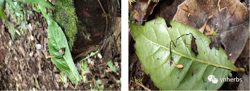 640 (10).png 640 (10).png