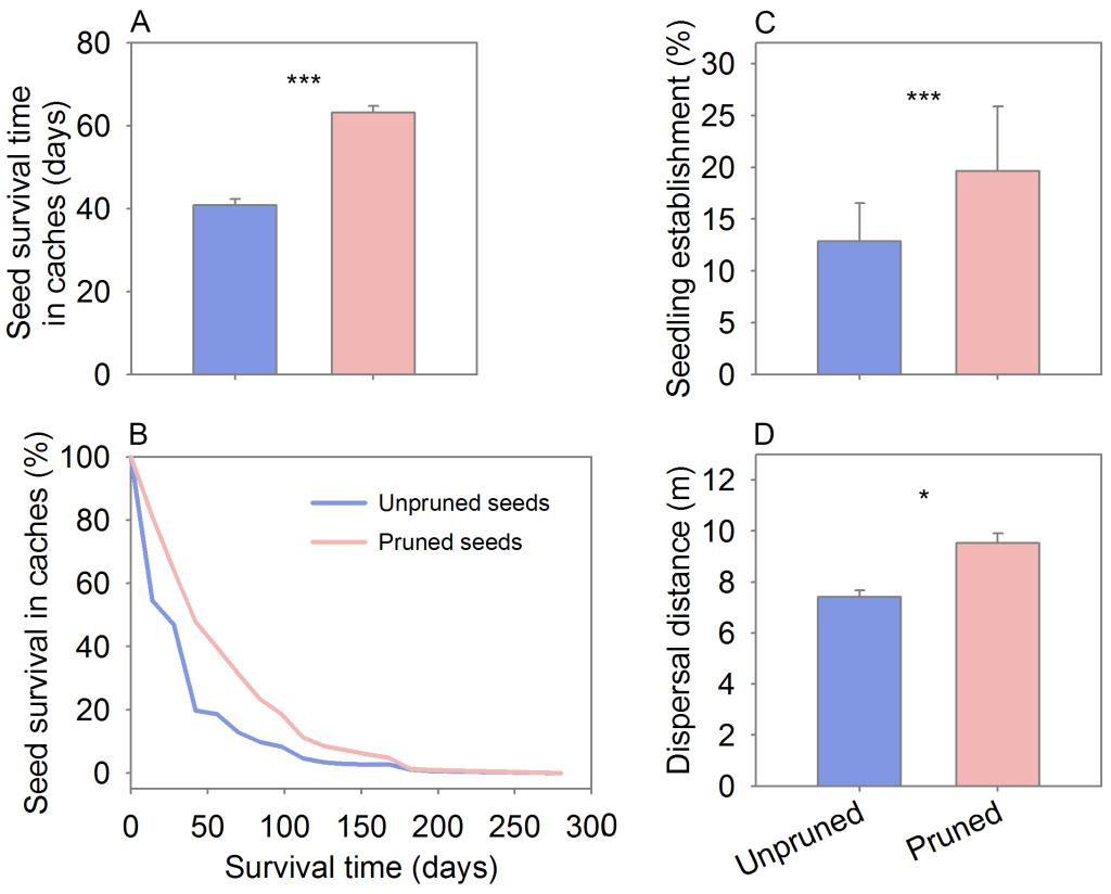 4251998F355789EFA9D9BC421CF_A58791C1_124C9.png 4251998F355789EFA9D9BC421CF_A58791C1_124C9.png