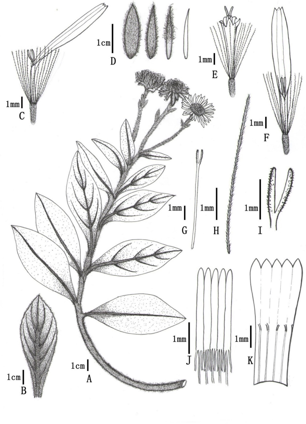 77DFF3E672D6D5C5DA595C2C497_FC4C8D05_550FA.jpg 77DFF3E672D6D5C5DA595C2C497_FC4C8D05_550FA.jpg