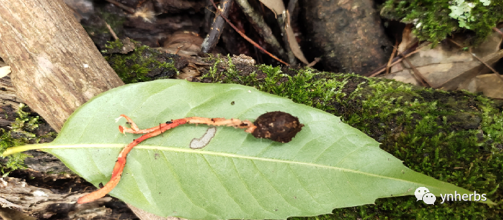 640 (7).png 640 (7).png