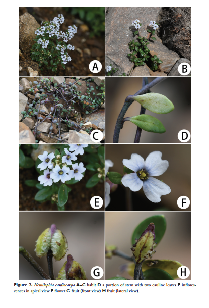 299043B5429F777D178939EC79E_A5231F24_6DEFF.png 299043B5429F777D178939EC79E_A5231F24_6DEFF.png