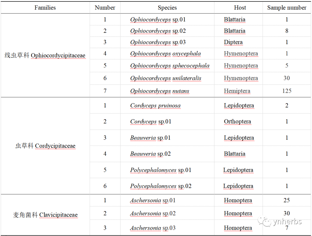 640 (1).png 640 (1).png