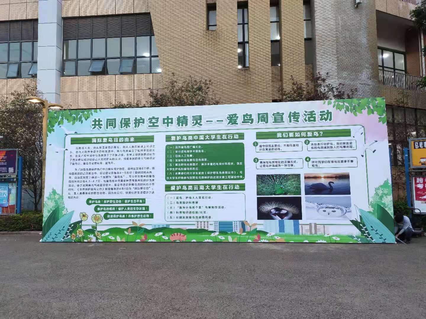 AB043288A4E02A84FD35253884F_D82634B4_701D6.jpg AB043288A4E02A84FD35253884F_D82634B4_701D6.jpg