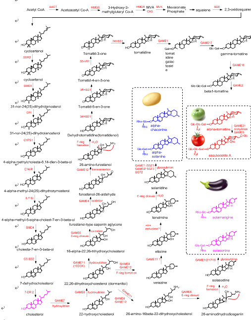 31F65DFD94801576D7EA39FF15D_0C6AEF72_1448F.png 31F65DFD94801576D7EA39FF15D_0C6AEF72_1448F.png