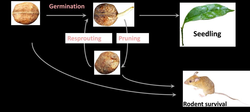 49EACAE9CDAFC9ED50828799941_43C5B949_A47D.png 49EACAE9CDAFC9ED50828799941_43C5B949_A47D.png