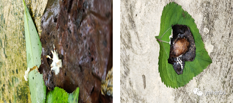 640 (4).png 640 (4).png