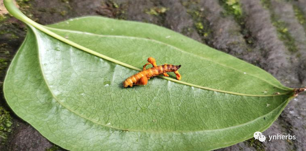 640 (6).png 640 (6).png