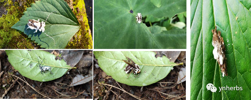 640 (8).png 640 (8).png